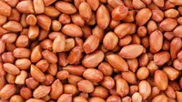 Cara Ampuh Buat Kacang Tanah Jadi Renyah, Wajib Dicoba
