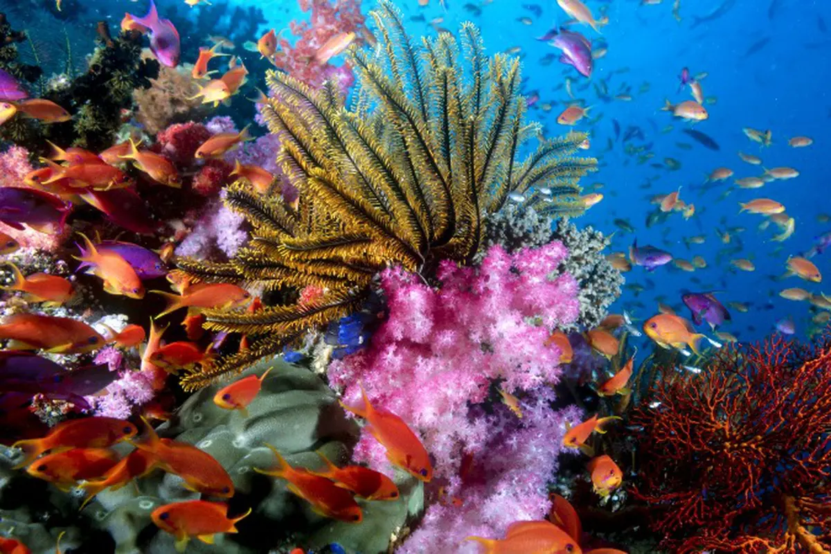 13 Fakta tentang Laut yang Bakal Bikin Kamu Terpesona