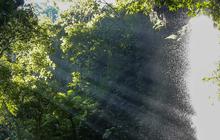 FOTO: Pesona Curug Walet yang Tersembunyi di Kaki Gunung Salak Bogor, Cantiknya Sungguh Menawan