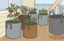 11 Desain Kebun Sayur di Rumah yang Mudah Dipindah, Praktis dan Modern