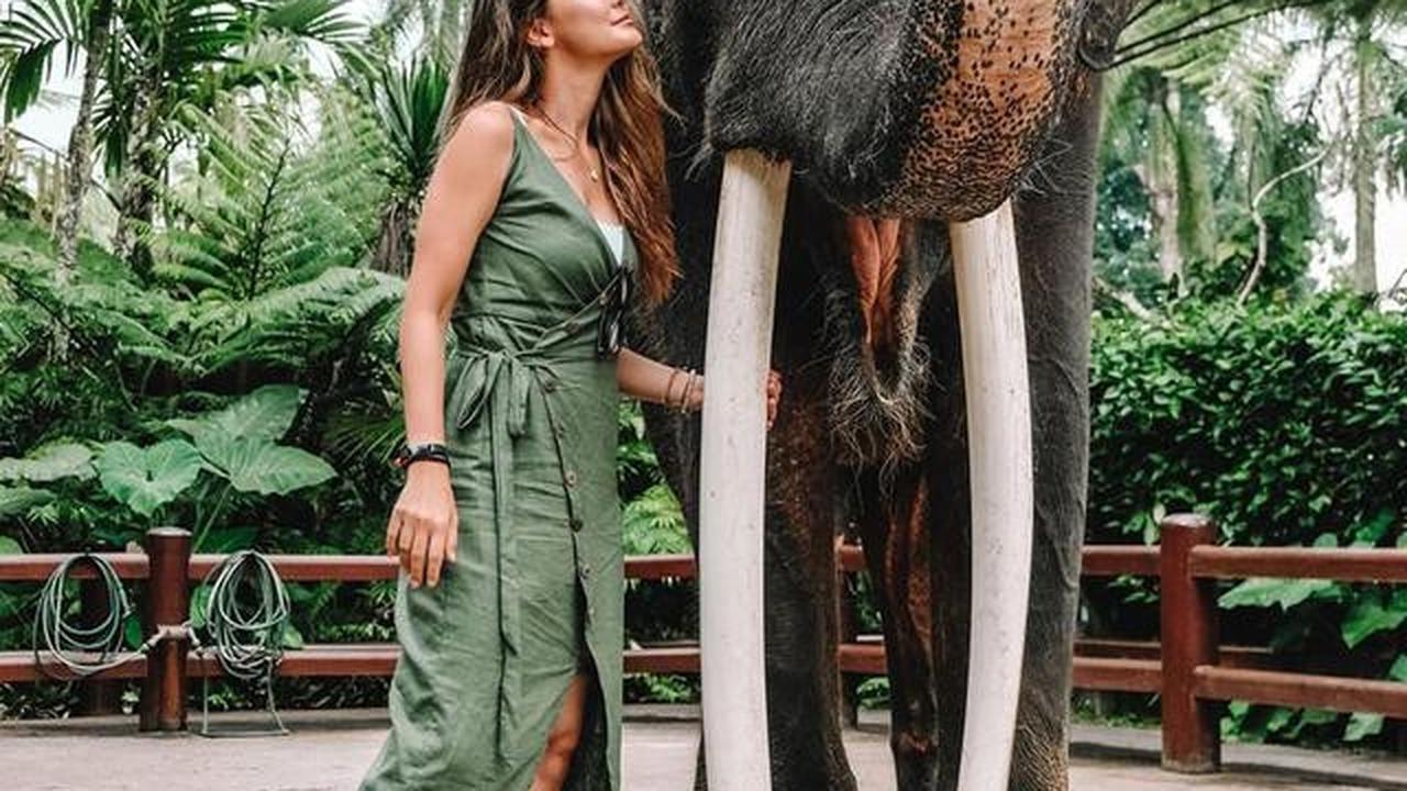 Atraksi Gajah Tunggang Resmi Dilarang di Seluruh Wilayah Indonesia