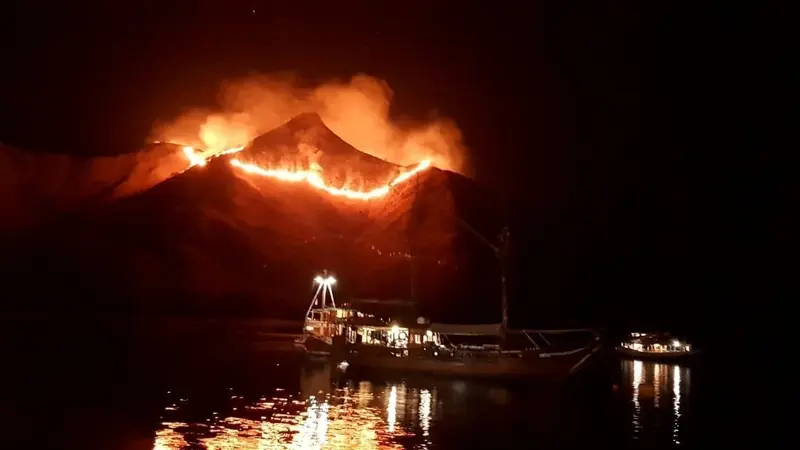 Kebakaran Taman Nasional Komodo