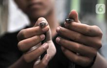 7 Cara Ampuh Mengenali Ular Kecil Berbahaya untuk Keselamatan Keluarga