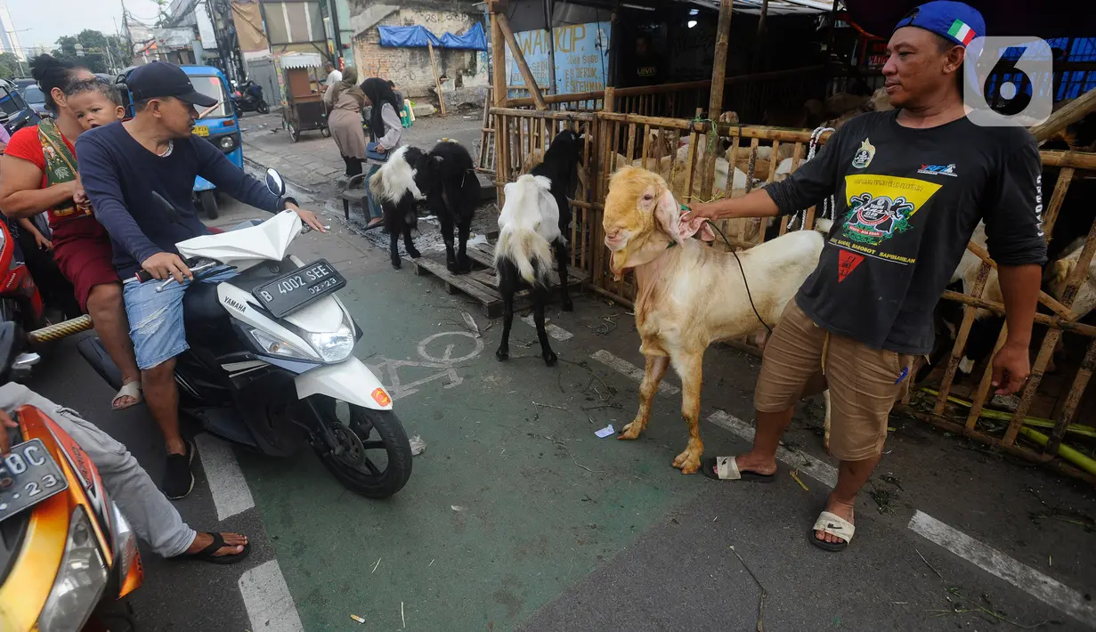 Dimana sehari menjelang Idul Adha, pedagang mampu menjual sekitar 230 kambing dengan harga antara Rp 3,5 hingga Rp 10 juta. (merdeka.com/Arie Basuki)