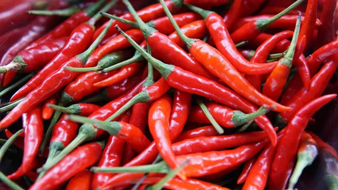 Cara Efektif Menyimpan Cabai Segar Agar Tahan Lama Tanpa Bawang Putih