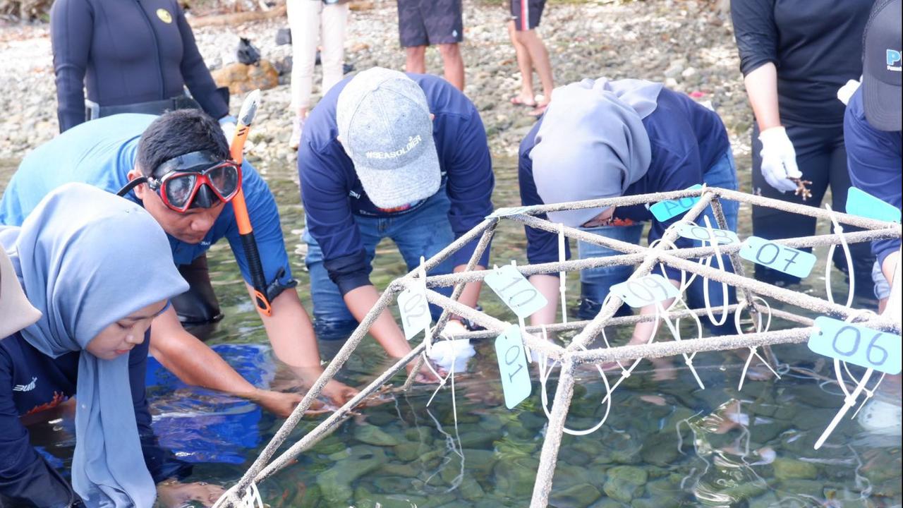 Peringati Sumpah Pemuda, PNM Gandeng Pemuda dalam Konservasi Terumbu Karang di Ambon