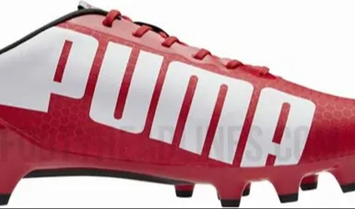 1. Puma<br>