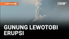 Gunung Lewotobi Erupsi, Pemukiman Warga Diguyur Hujan Abu