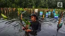 Salah satu peserta menanam pohon mangrove dalam kegiatan bersama Badan Pengelola Keuangan Haji (BPKH) di Taman Wisata Alam Mangrove Angke Kapuk, Jakarta, Sabtu (7/12/2024). (Liputan6.com/Angga Yuniar)