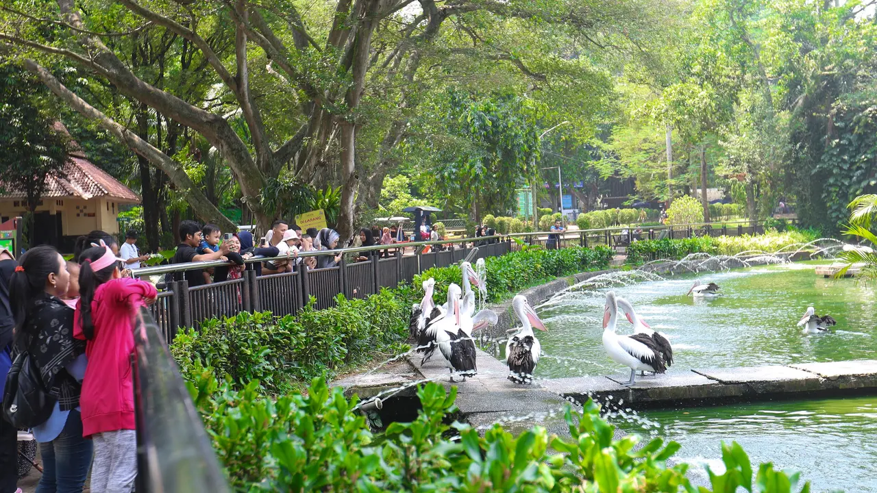 Kebun Binatang Ragunan Jakarta Dipadati Ribuan Pengunjung