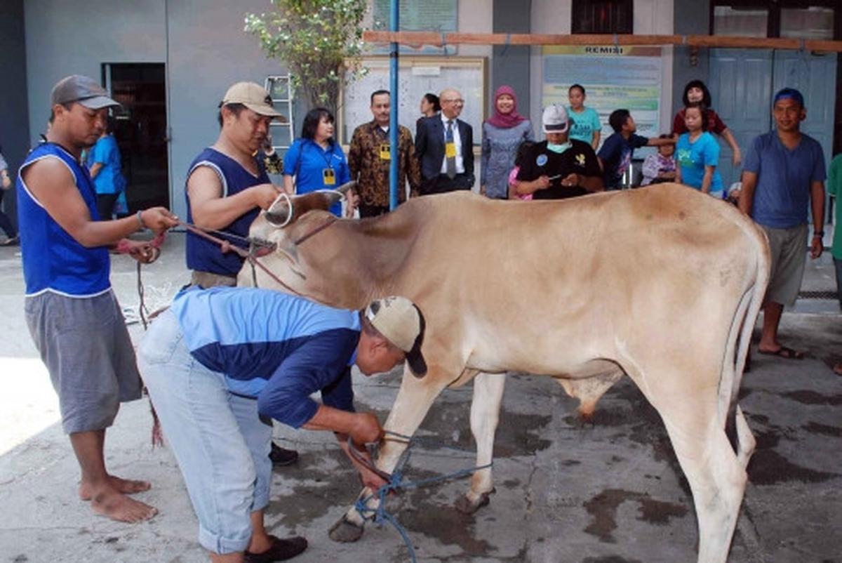 Menengok pemotongan hewan kurban di Rutan Pondok Bambu