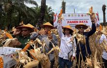 Petani Jadi Prioritas, Ini Pesan PCO soal Komitmen Presiden Prabowo