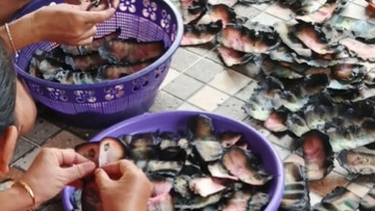 Penampakan Tumpukkan Uang jadi 'Korban' Kebakaran di Rumah, Kondisinya Bikin Nyesek
