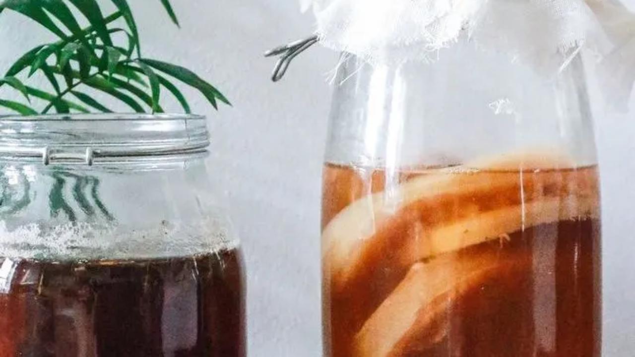 Manfaat Kombucha untuk Kesehatan