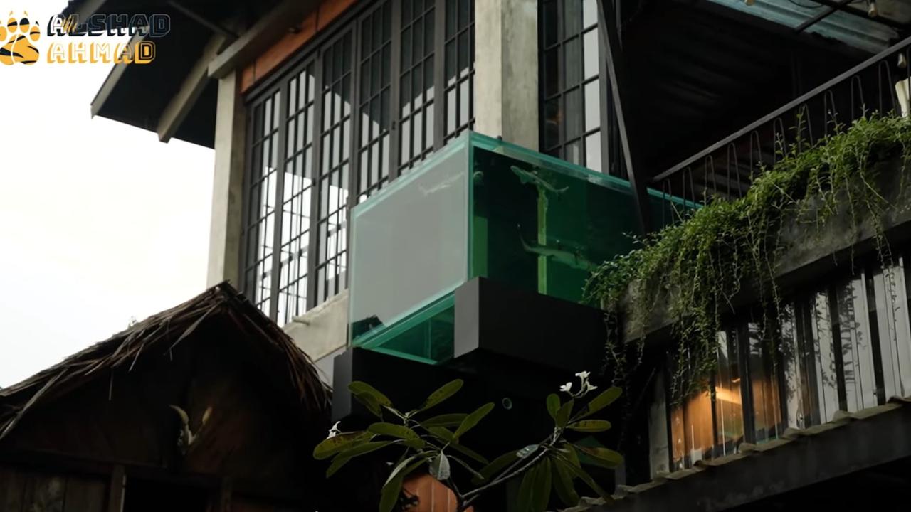 Usai Megatank, 5 Potret Akuarium Ikan Hiu Irfan Hakim Bikin Alshad Ahmad Melongo - Ternyata Sudah Memakan Korban