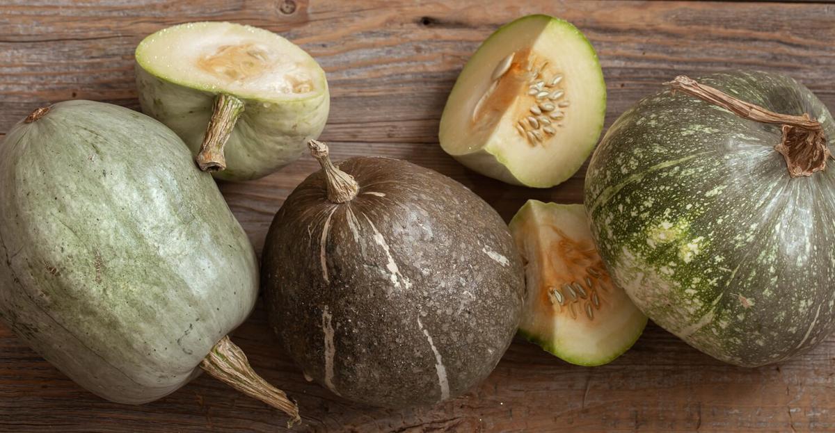 Timun Suri, Blewah, dan Melon