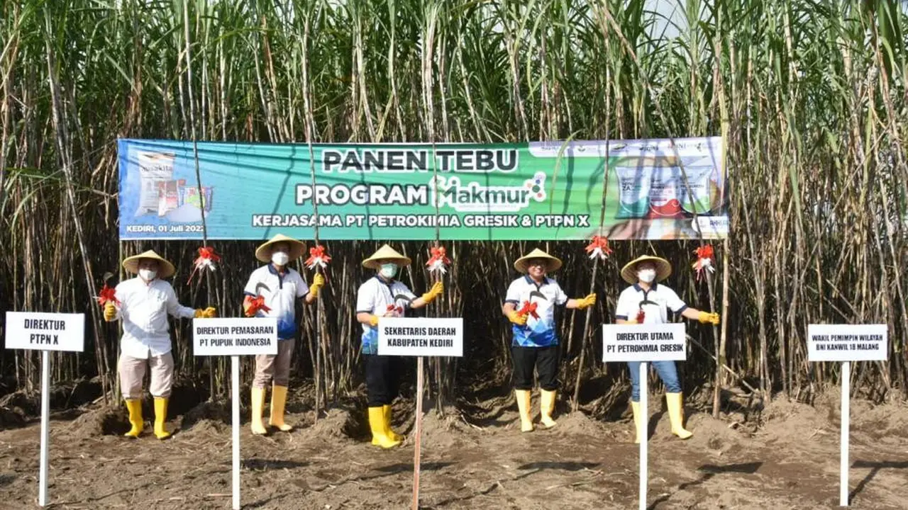PT Pupuk Indonesia (Persero) menyebut program Makmur berhasil meningkatkan produktivitas dan pendapatan petani tebu di Kecamatan Ngadiluwih, Kediri, Jawa Timur.