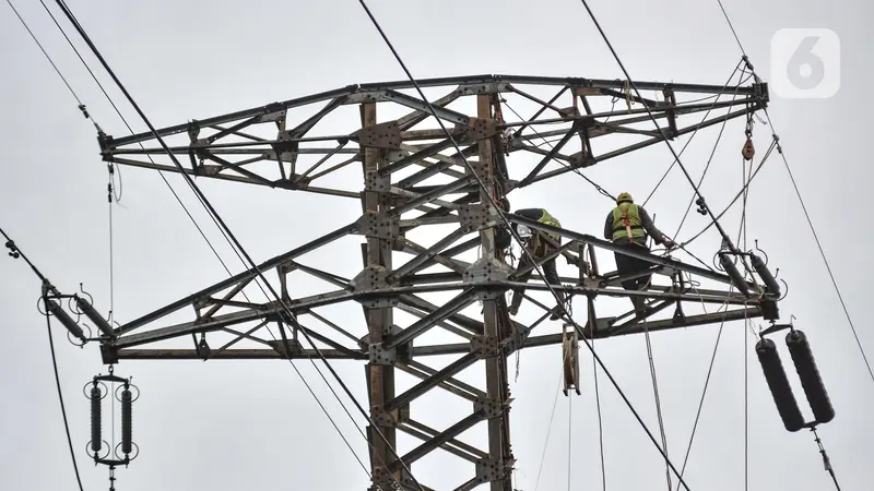 Perbaikan Rutin Jaga Stabilitas Sistem Kelistrikan Menara SUTET