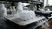 Cara Kerja Dry Ice untuk Atasi Kabut Asap Karhutla, Benarkah Efektif Menghilangkan Asap?