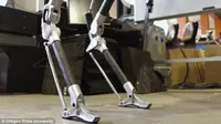 Peneliti Buat Kerangka Kerja untuk Pengujian Robot Berkaki di Dunia Nyata