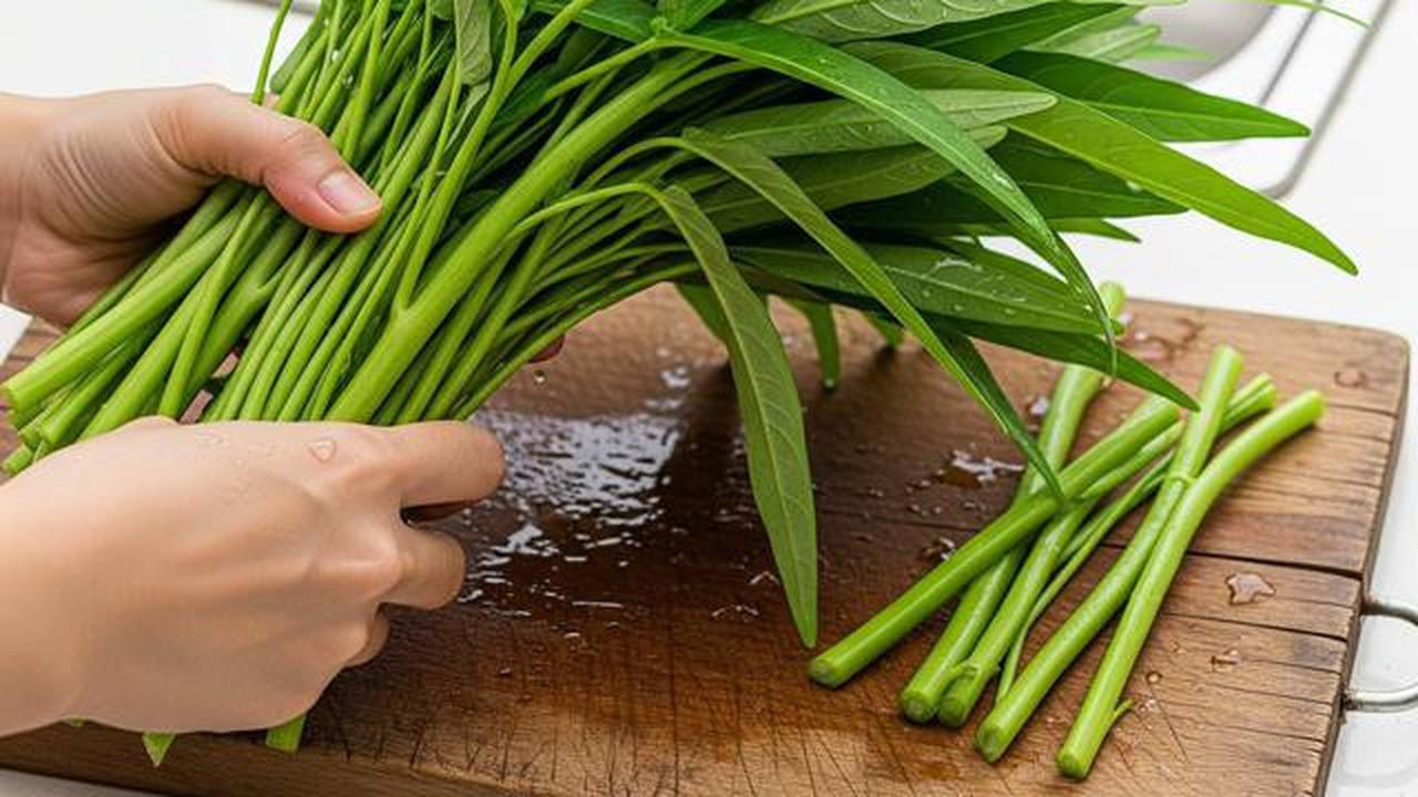 Tips Menanam Kangkung di Polybag, Panen Melimpah di Lahan Terbatas dalam Hitungan Minggu