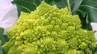Brokoli Romanesco, Si Hijau Imut dengan Tekstur Menggoda