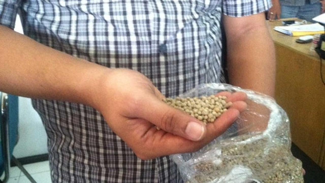 Beginilah bentuk merica palsu yang diamankan Polres Sleman