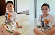 Ada Katak sampai Iguana, Ini Kumpulan Hewan Peliharaan Athar Anak Citra Kirana dan Rezky Aditya