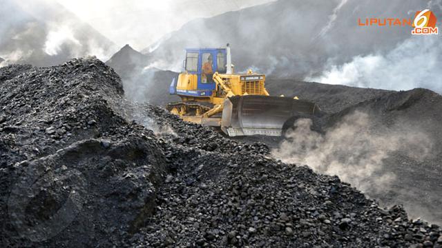 Bukit Asam Bakal Ubah Batu Bara Jadi Minyak Bisnis Liputan6 Com