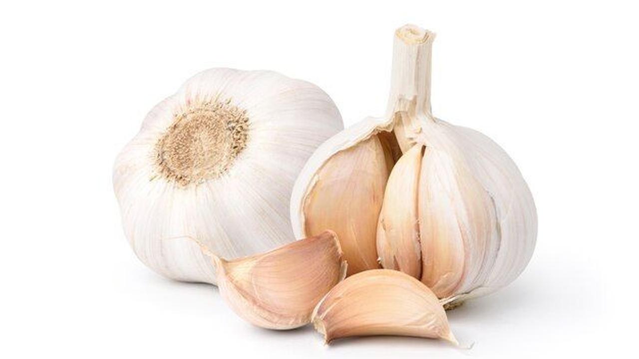 bawang Putih. (foto: Pinterest/Freepik).