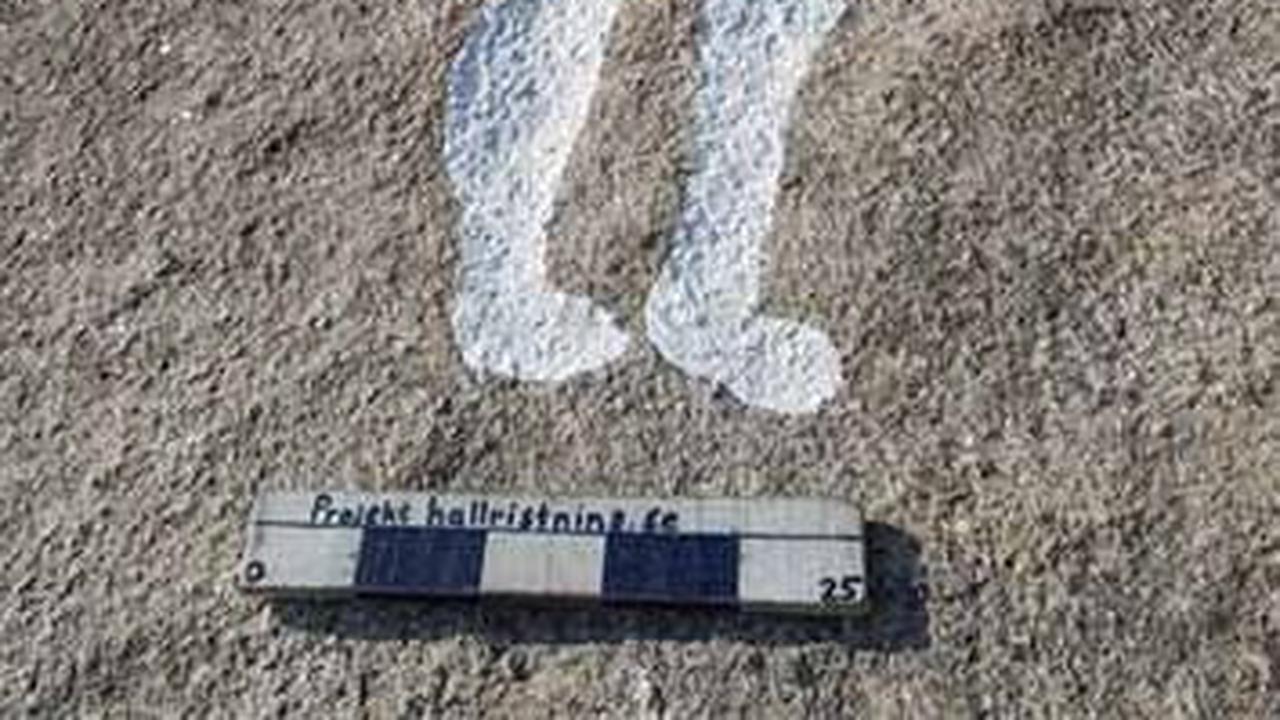40 Petroglif Berusia 2700 Tahun Tersembunyi di Bawah Lapisan Lumut Tebal, Ada Gambar Kapal & Kuda, Arkeolog Ungkap Pembuat & Maknanya