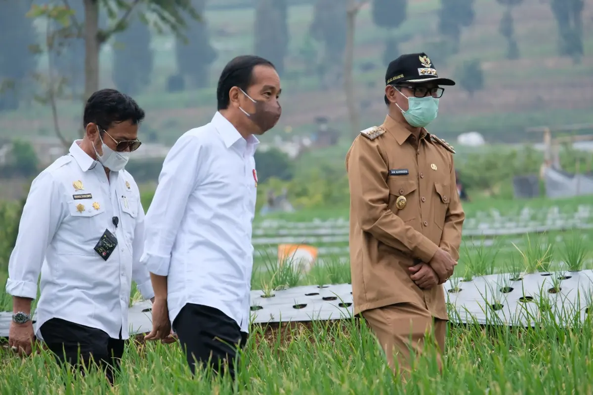 Presiden Joko Widodo Apresiasi Kawasan Food Estate Kementan