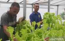 Trivia Lapas: Tanpa Tanah, Pertanian Hidroponik Lapas Ambon Bekali WBP Keterampilan dan Dukung Ketahanan Pangan Nasional