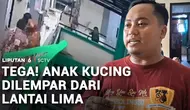 Tega, Anak Kucing Dilempar dari Lantai Lima