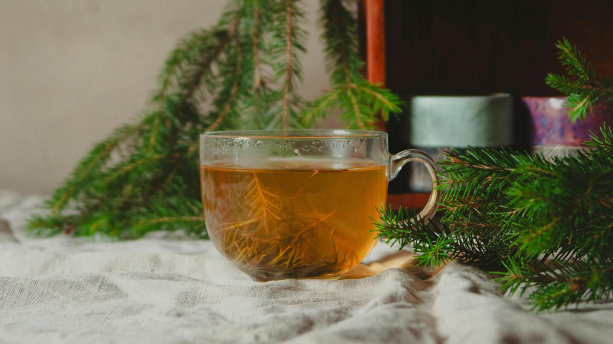 3 Jenis Empon-Empon yang Ampuh Redakan Sakit Tenggorokan