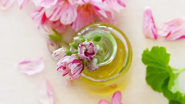 ilustrasi Geranium Essential Oil/pixabay