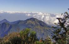 Mitos Gunung Lawu, Mulai Adanya Pasar Setan Hingga Pantangan Pakai Baju Hijau