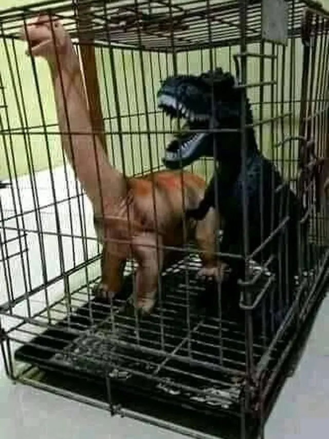 6 Tempat Simpan Mainan di Kandang Hewan Ini Bikin Tepuk Jidat