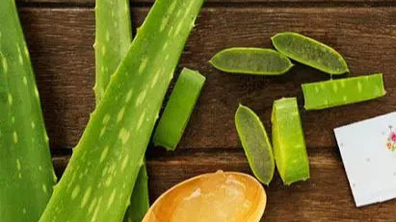 Cara Praktis Membuat Masker Lidah Buaya untuk Kulit Cantik dan Sehat