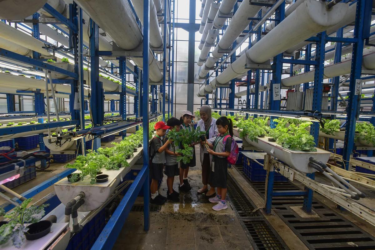 FOTO: Belajar Hidroponik di Kebun Vertikal Tertinggi di Indonesia