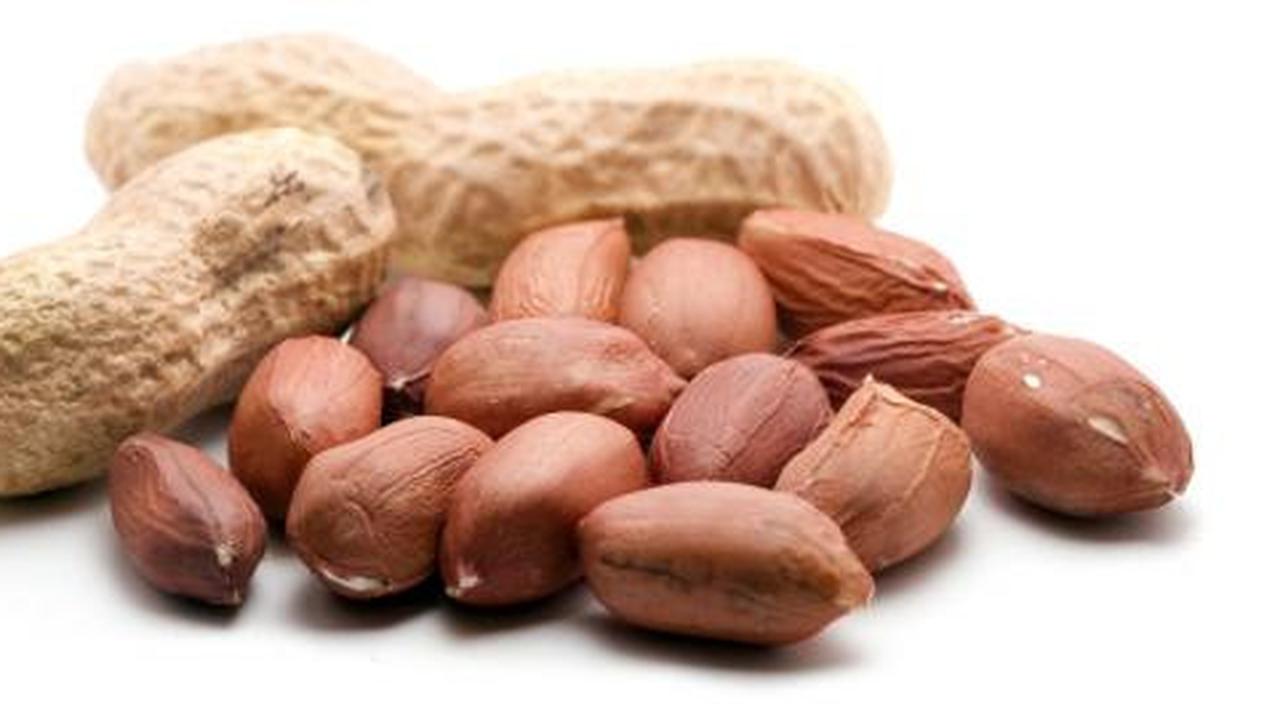 Makan kacang tanah turunkan risiko kanker?