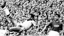 Nilton Santos. Saat Brasil menjadi juara Piala Dunia 1962 di Cile usai mengalahkan Cekoslowakia dengan skor 3-1 di partai final, Bek kiri Brasil Nilton Santos yang saat itu berusia 37 tahun menjadi anggota skuad tertua yang dibawa pelatih Aymore Moreira. Ia selalu bermain dalam seluruh 6 laga Brasil di Piala Dunia 1962. (AFP/Staff)