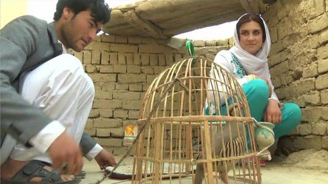 Demi cinta, Zakia dan Ali melarikan diri dari orangtua dan keluarga mereka