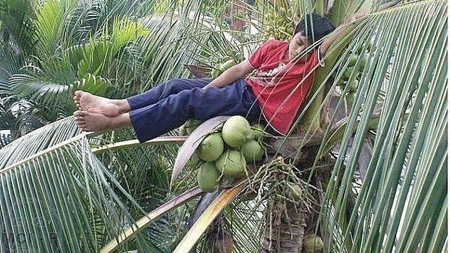 Potret Saat Rebahan di Sembarang Tempat ini Bikin Geleng Geleng