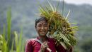 Seorang perempuan suku Karbi tersenyum sambil membawa seikat padi hasil panen di pinggiran Gauhati, India, Senin (23/5/2022). Secara historis dan nenek moyang mereka menyebut diri mereka Arleng (harfiah "manusia" dalam bahasa Karbi) dan disebut Karbi oleh orang lain. (AP Photo/Anupam Nath)