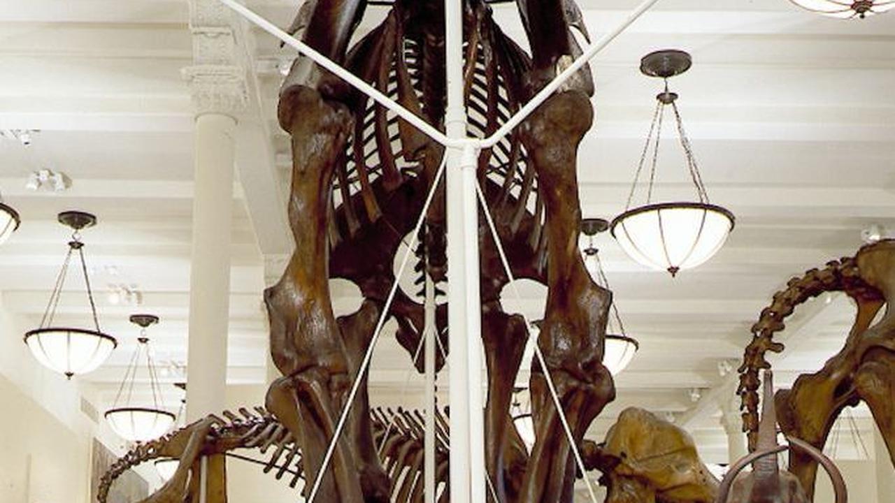 Mammoth