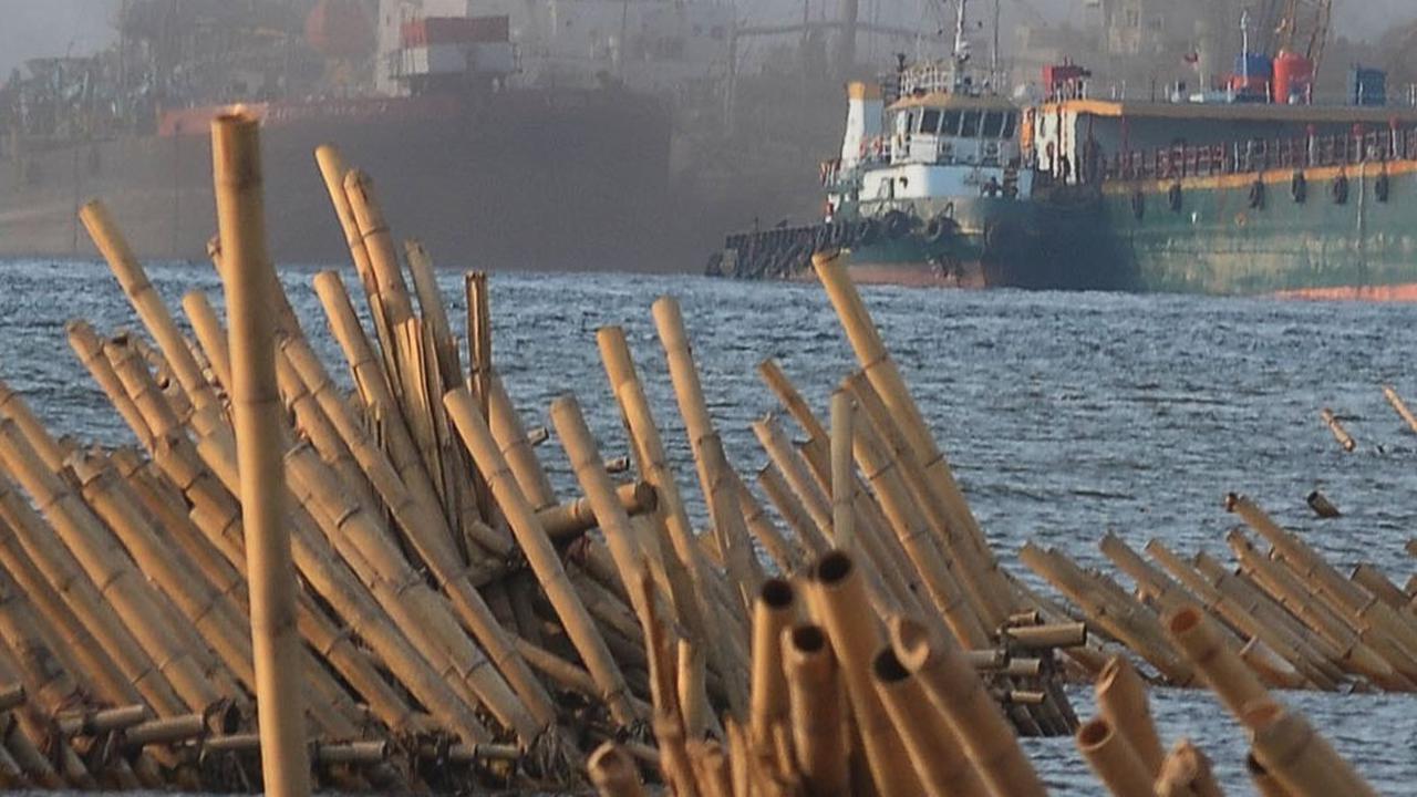 Bambu-bambu tersebut dipasang sebagai tanggul laut untuk mencegah terjadinya abrasi.