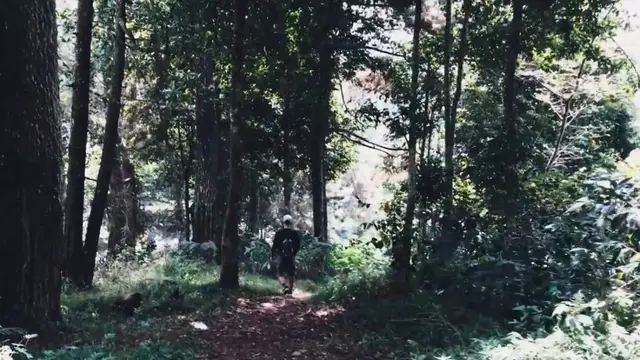 Medan hutan Gunung Tanjaknangsi di Tasikmalaya. (Dok: YouTube Andika Graha)