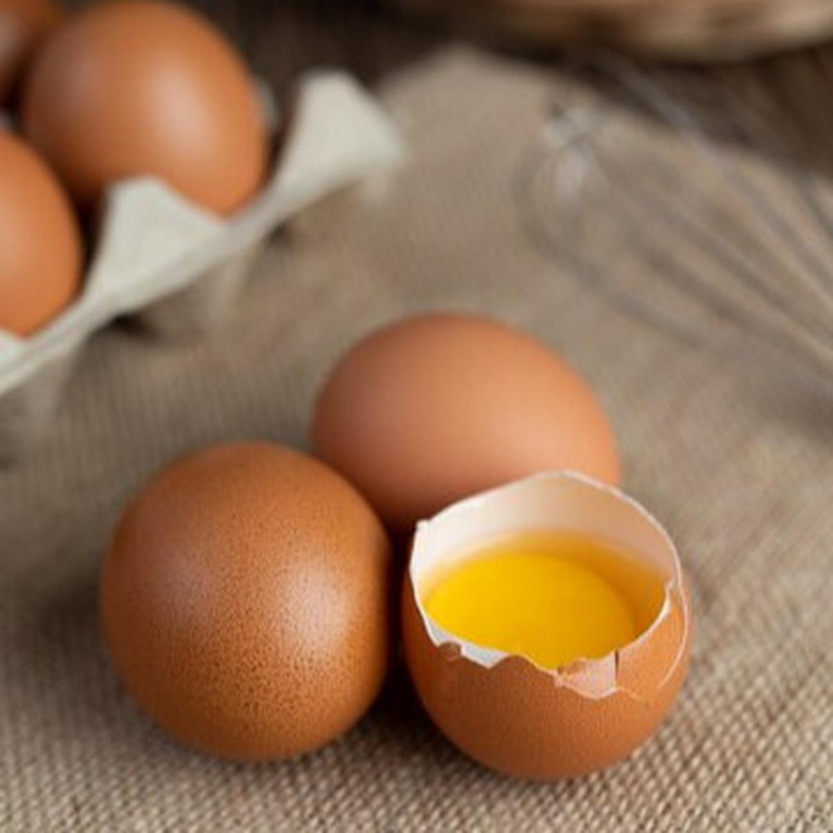 Beda Telur Omega dan Telur Biasa