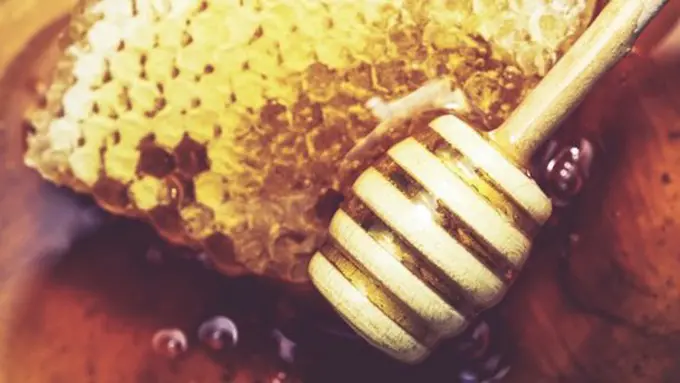 Kesehatan/ Copyright : freepik.com/ welcomia